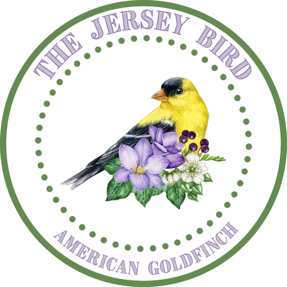 Jersey Bird Sticker ~ Goldfinch ~ BUNDLE ANY 3 STICKERS for $10 - Picture 1 of 1
